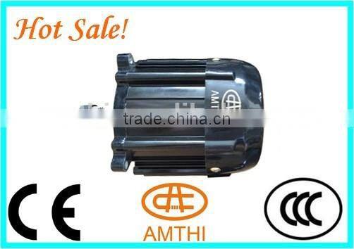 e rickshaw motor 900w made in india, electric rickshaw motor, rickshaw dc motor