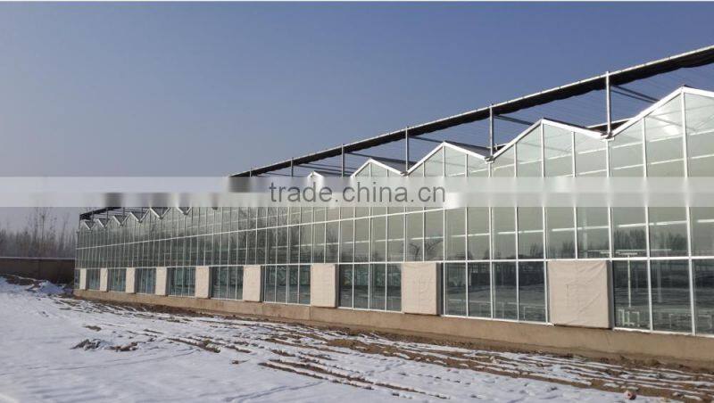 Commercial glass greenhouse for sale