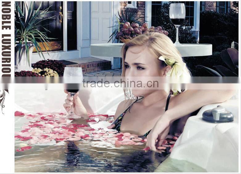 A860 Luxury Spa Hot Tubs Spa Pool
