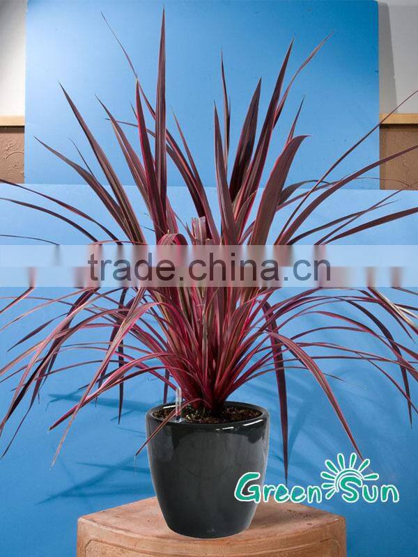 ceramic glazed flower pots