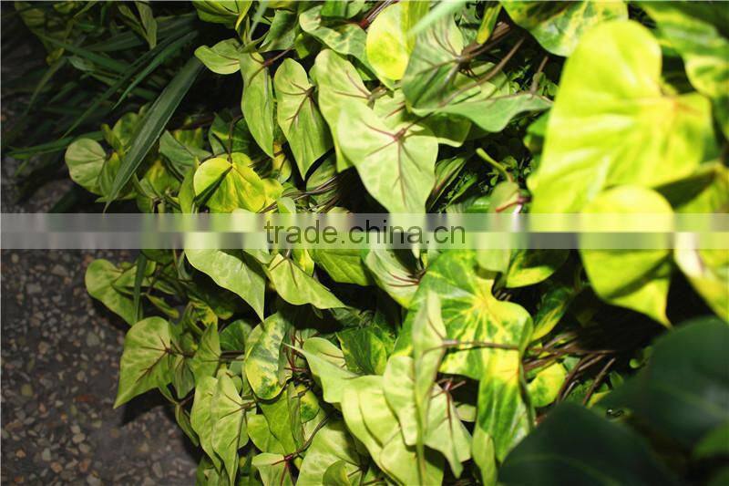 stickers home garden deco 200*200 cm indoor or outdoor artificial corner succulent green climbing plant wall Ezwq10 103