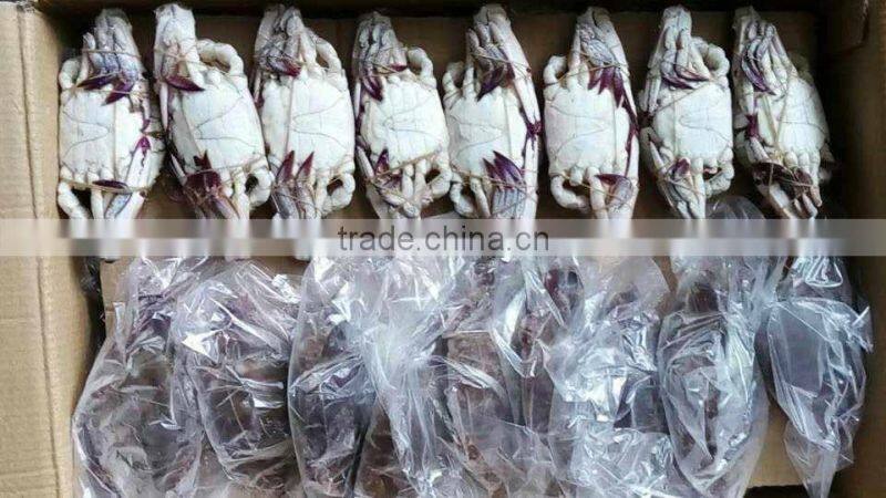 Frozen Whole Blue Swimming Crab For Sale