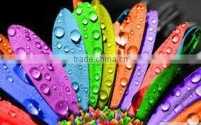 Innovative website design and develop