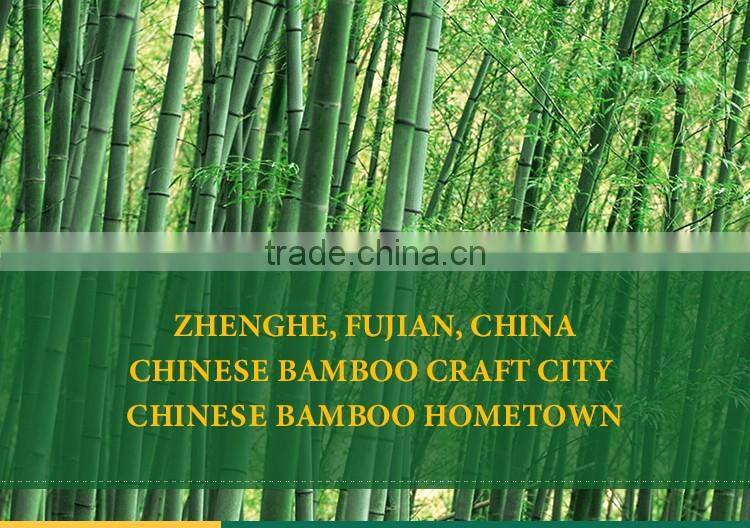 China manufacture professional High Quality bamboo mat