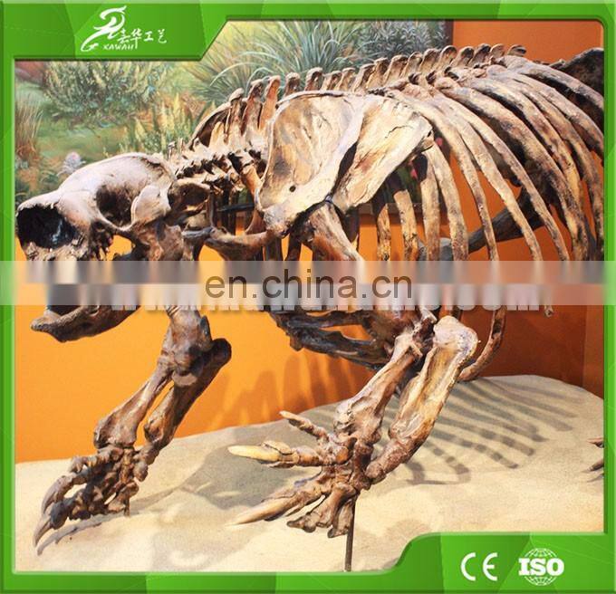 KAWAH Museum Display Resin Dinosaur Skeleton Life-Size Real Fiberglass Dino Skull For Sale