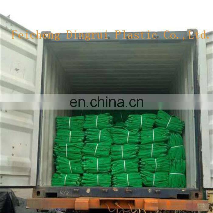 High Quality Plastic Mesh Scaffold Safety Net/Dust Protection Net