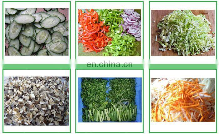 Industrial Price Spring Green Onion Cutter Onion Cutting Machine