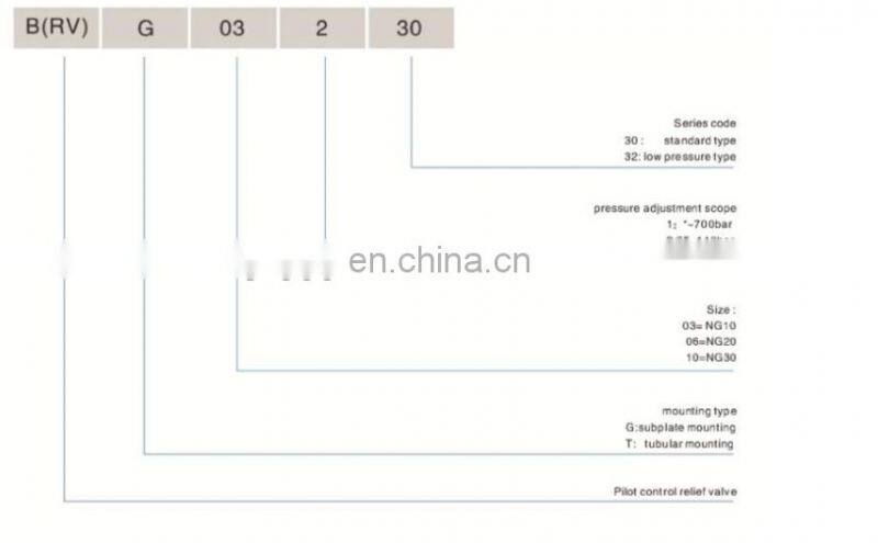 Taiwan CHIA WANG RV pilot pressure valve