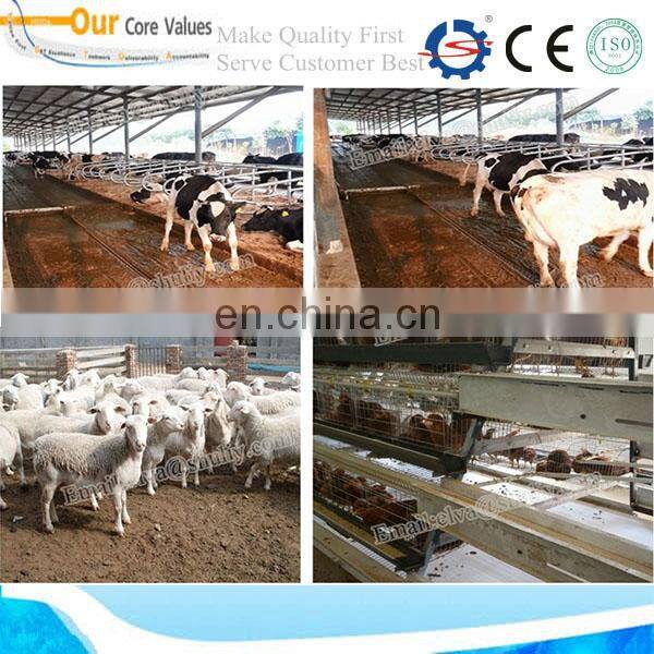 automatic Control System Manure Scraper For Dairy Cow Farm , Manure Cleaning machine/0086-13673685830