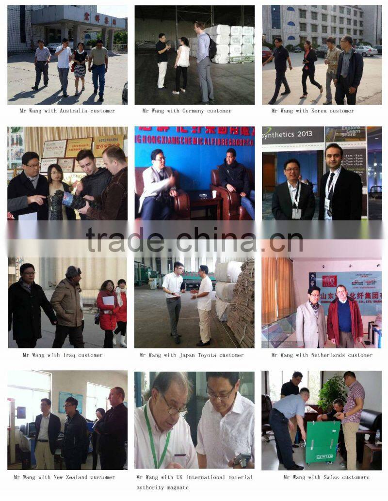 gcl and geotextile biggest China liner factory price