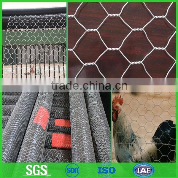 manufacturer Custom Animal cage fence hexagonal wire mesh