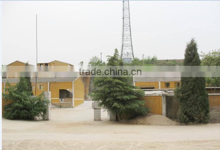 hot sale golden crude vermiculite unexpanded vermiculite