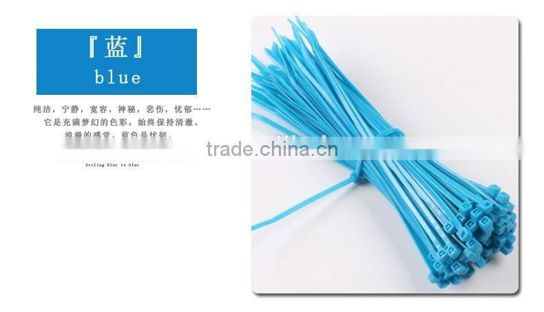 4'' 6'' 8'' 10'' Length Nylon66 Plastic Cable Tie Size