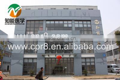 BIZ-Y1031 Horse acupuncture model