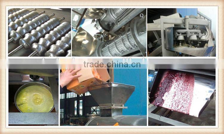 wide output range full stainless steel Fruit & Vegetable Processing Machines strawberry pulping machine