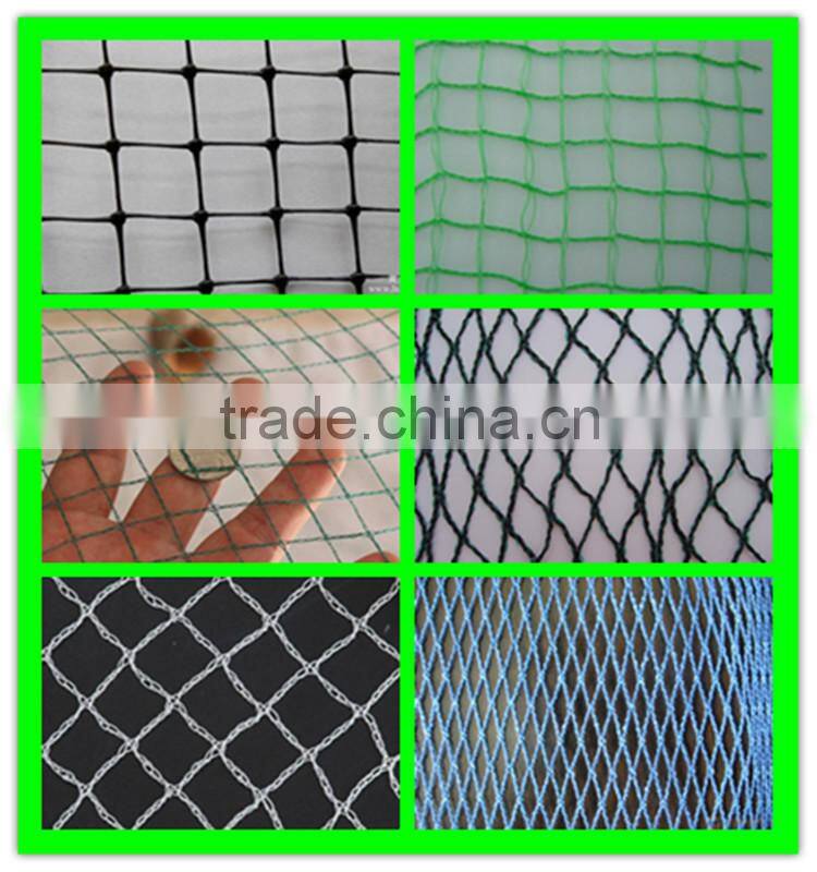Henan Suntex supply white plastic anti bird net with low price