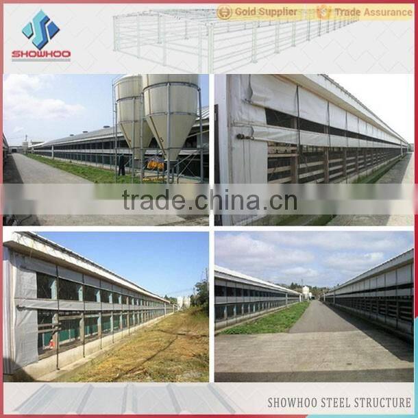 from China supplier for prefabricated shed for chicks poultry house chicken farm