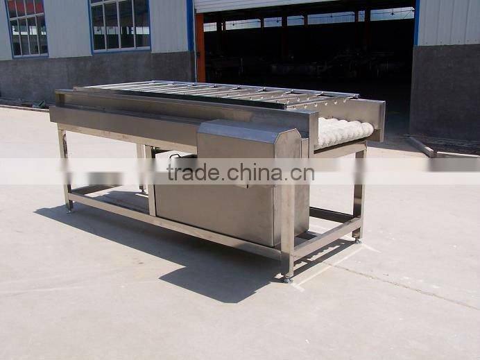 Fruit Brush Washing Machine