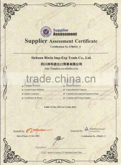 Plastic Fiber Optic Star Ceiling Modern Lighting