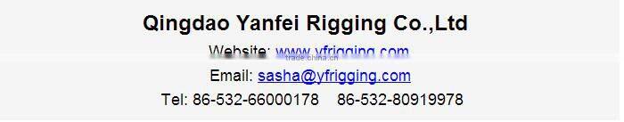 EN818-2 Lifting Chain G80