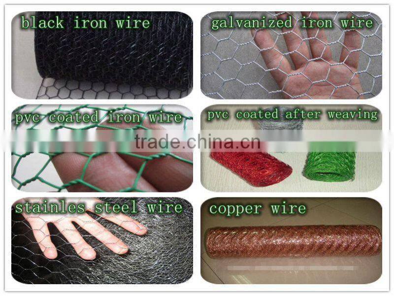 stainless steel hexagonal mesh (professional factory)