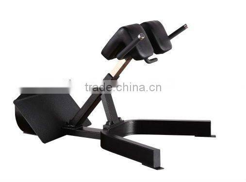 hot sale Precor commercial fitness equipment Back Extension exercise gym machine