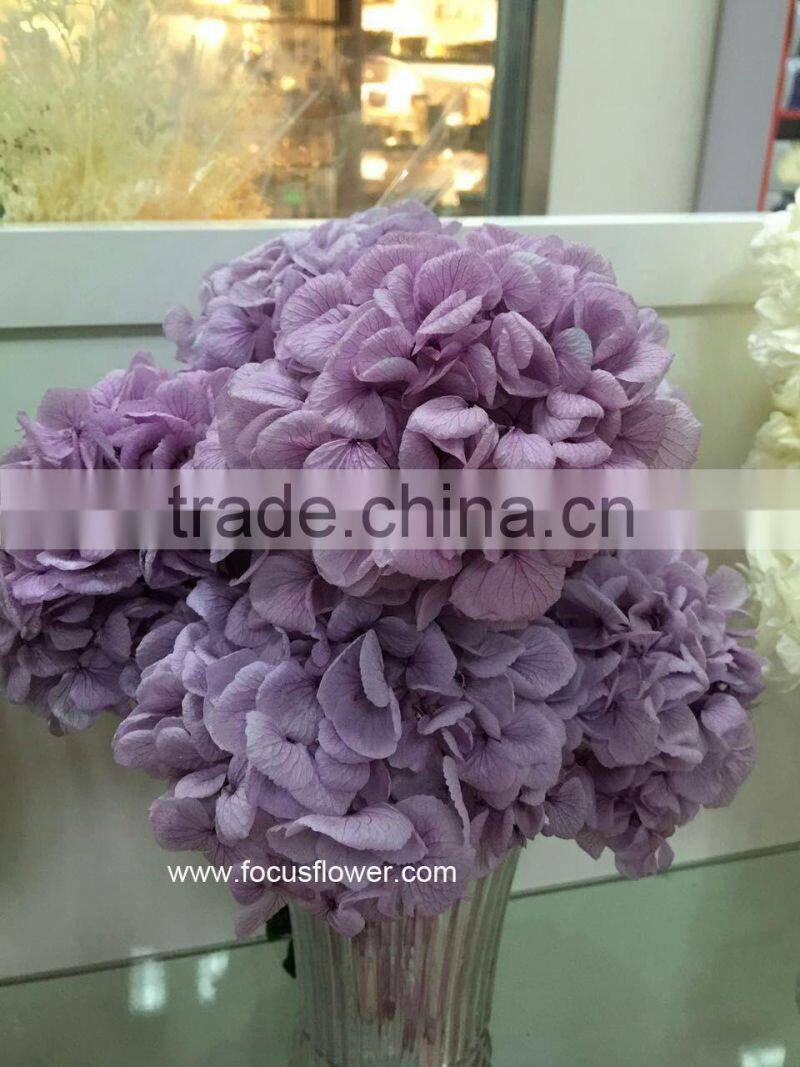 Flower Wedding Wholesale Preserved Flower Pink Hydrangea Macrophylla In Gift Box