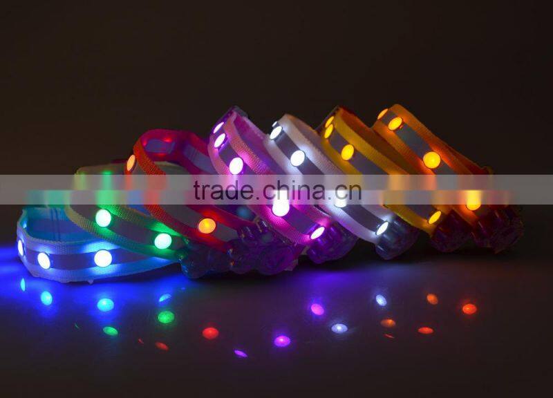 light up you and your pet dog evening dog collar with led lights