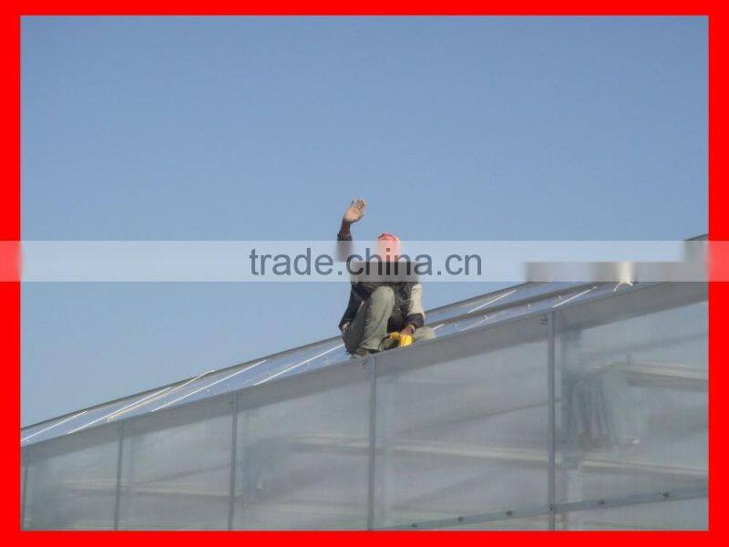 Vegetable-growing Greenhouse-commercial greenhouses
