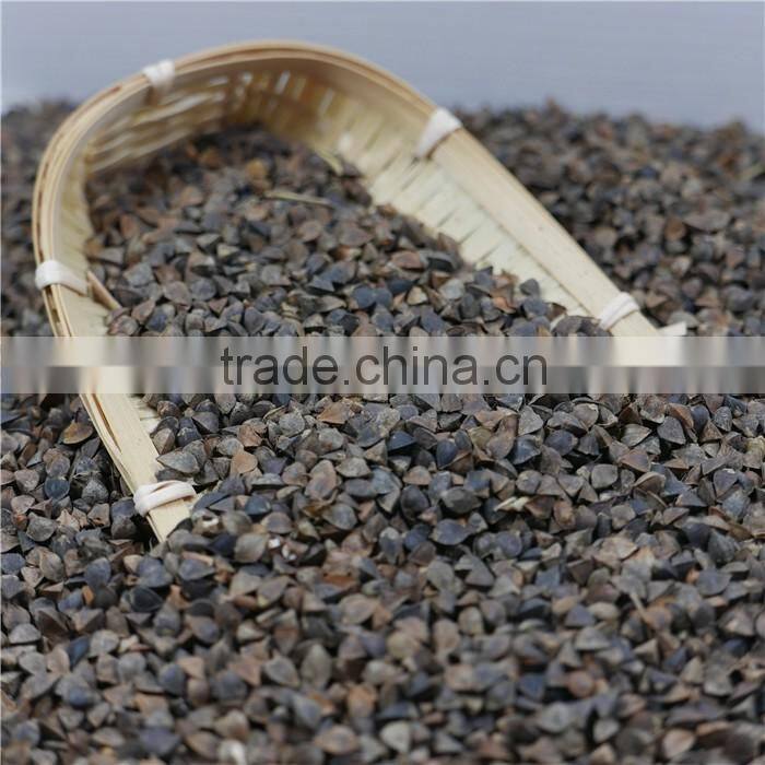 High Quality raw Buckwheat price