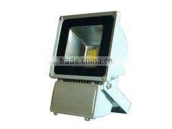 4900lm/4700lm IP65 LED Flood Light