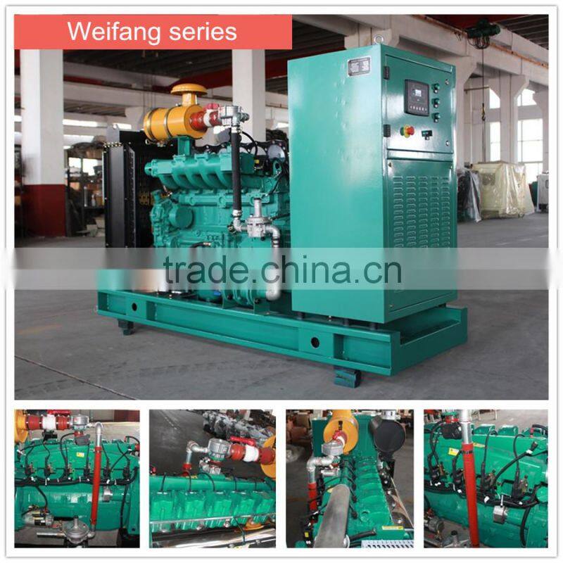 Low noise!! 10kw-500kw power natural gas generator 10kw 20kw 50kw 100kw 200kw 300kw natural /biogas generator manufacture price