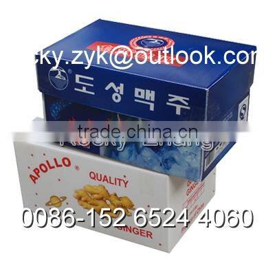 PP fruit and vegertable packaging box carton