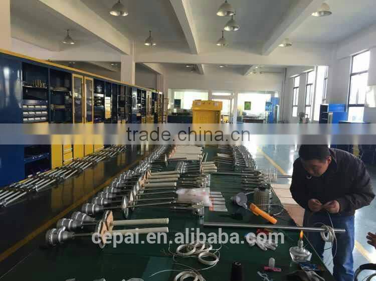 WZP -430 two wire system assembly type thermal resistance