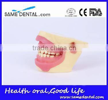 NISSIN Anesthesia extraction model school teaching demonstration