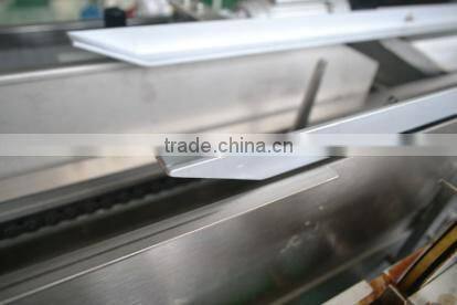 Adjustable flexible automatic chain driven sealing machine