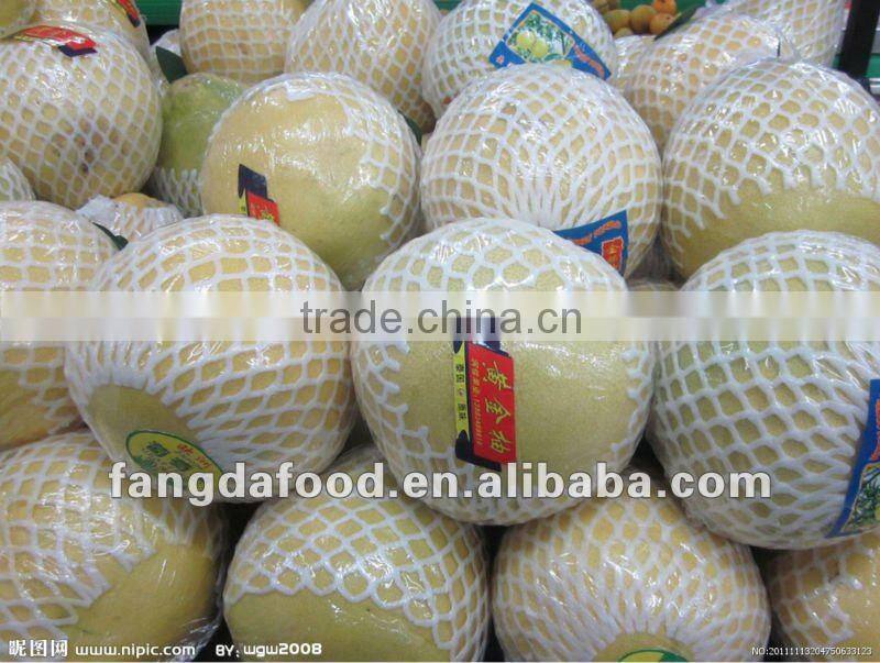 Fresh pomelo Fruit