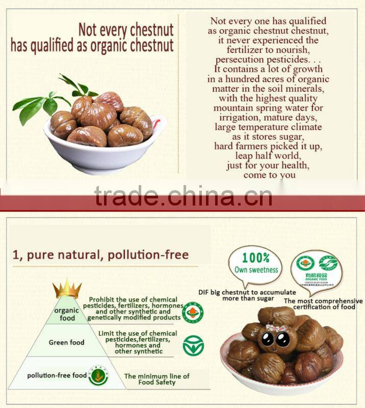 Raw Chinese Chestnut for sale--best for roasting