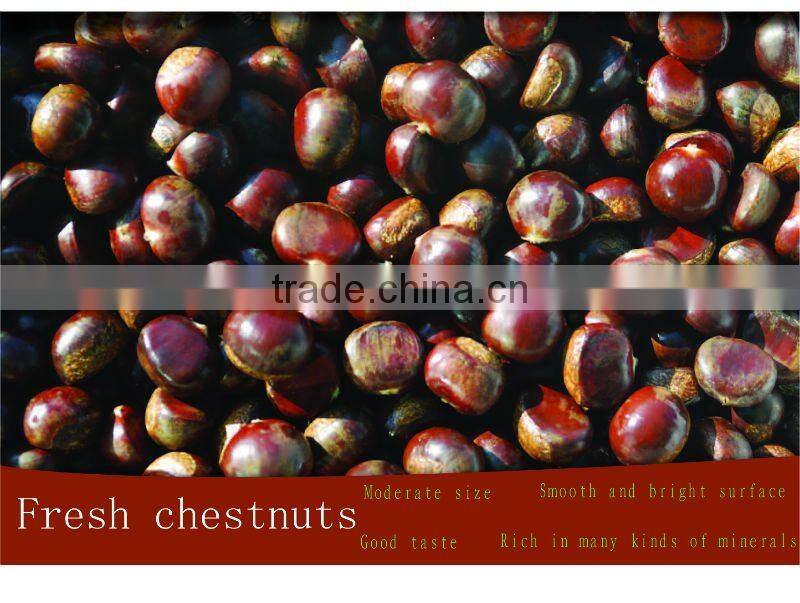 frozen peeled roasted chestnuts