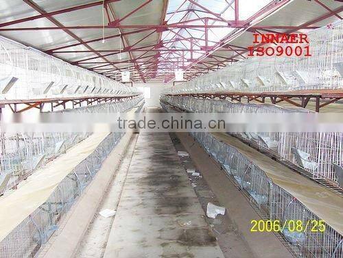 High quality commerical rabbit cage