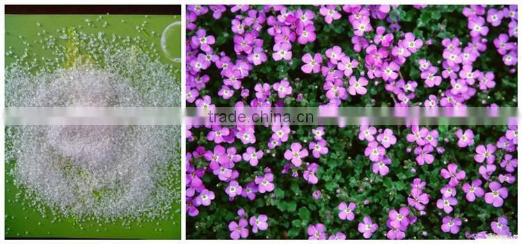 Direct manufacturer ammonium sulphate