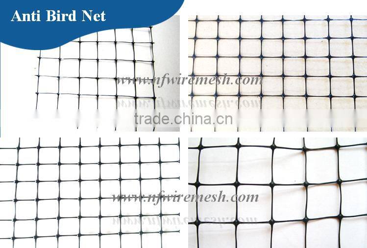 Hdpe net 25 x25 mm mesh hole agricultural bird netting (Guangzhou Factory)