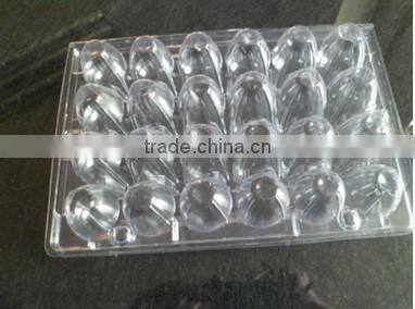 quail egg boxes