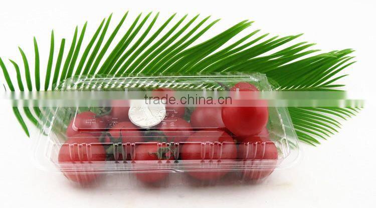 disposable cookies plastic container