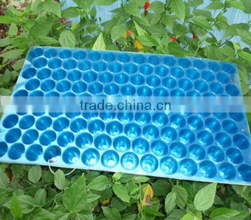 Professional manufacturer high quality flat rice seedling tray