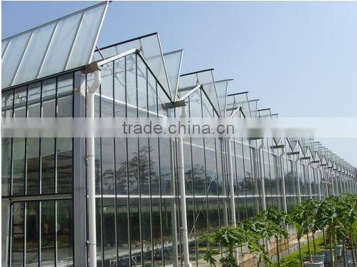 Galvanized Steel Structure Tempered Glass Greenhouse/Hydroponics Greenhouse/Commercial Greenhouse