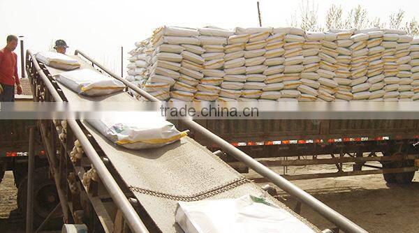 Meat And Bone Meal / MBM 60% 65% High Protein