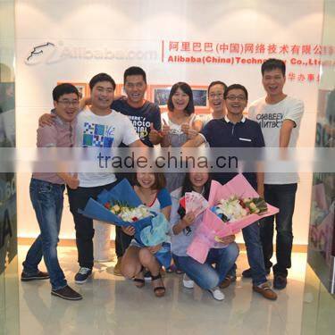 2Stroke 16inch 3/8 Bar 38CC 3800 Chainsaw With CE Certification