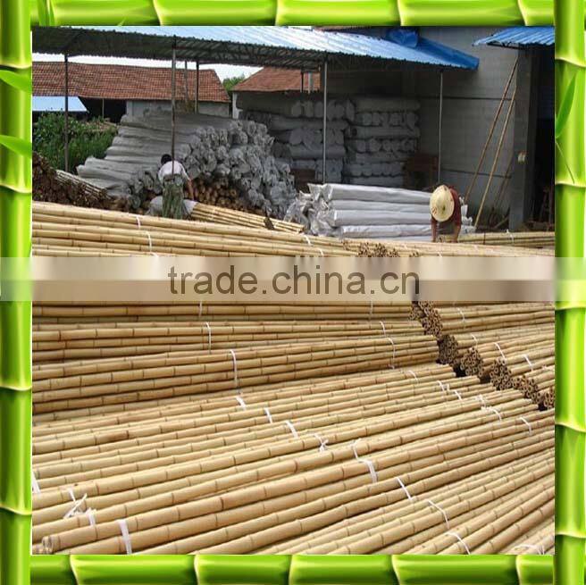 Hot sale bamboo poles /bamboo canes with low price