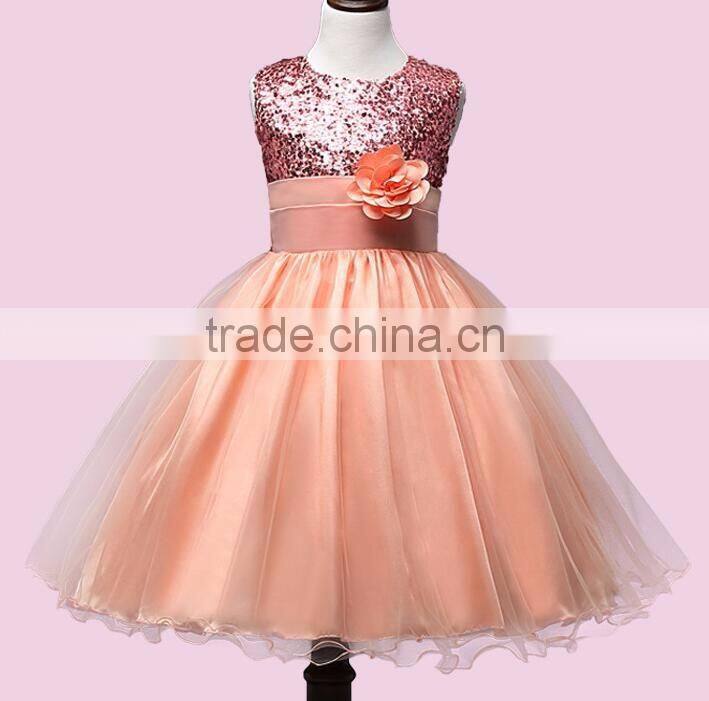 Beauty Princess One Piece Baby Girl Flower Dress Girl Party Dress Birthday Kids Children Frocks Dress Sleevless